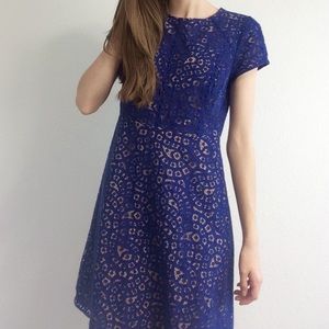 LOFT Navy Dress