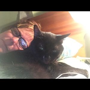 Meet your Posher, Lori