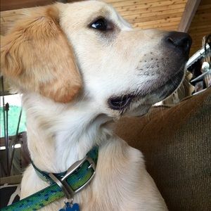 Meet your Posher, Alec