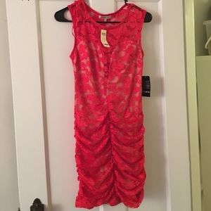 Arden B Lace Dress