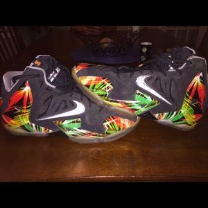 Lebron 11 Everglades.