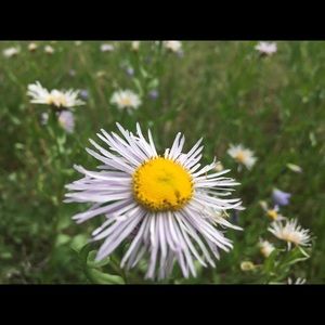 Meet your Posher, Courtney