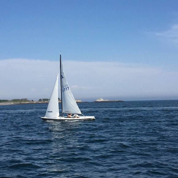 Meet your Posher, Jaya - Picture 1 of 1