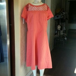 Sejour fit and flare dress