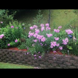 Meet your Posher, Connie