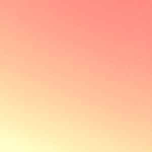 Meet your Posher, Shanear