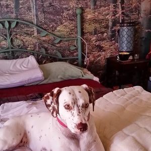 Meet your Posher, Sharon