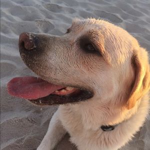 Meet your Posher, Jack