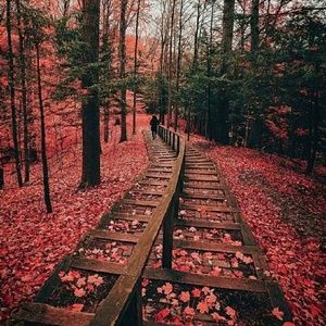 Meet your Posher, Marlene