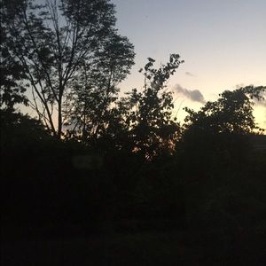 Meet your Posher, Daniela