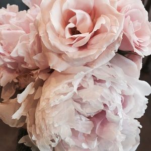 Meet your Posher, Grace