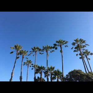 Meet your Posher, Sophia