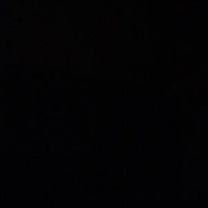 Meet your Posher, Antoinette