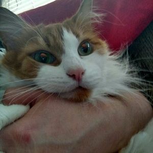 Meet your Posher, Kady