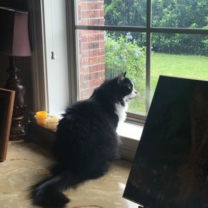 Meet your Posher, Yvonne