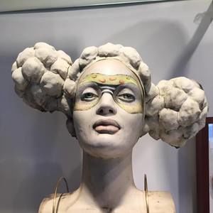 Meet your Posher, Faith