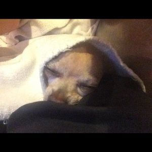 Meet your Posher, Linda