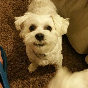 Meet your Posher, Pamela