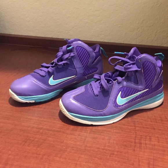 Lebron 9s "Summit Lake Hornets"