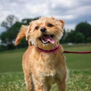 Meet your Posher, Renee