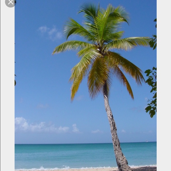 Posher is on vacation 7/24- 7/30-I'm back!