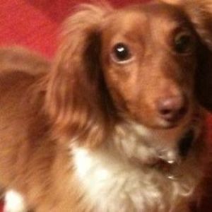 Meet your Posher, Regina