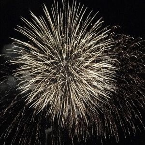 Meet your Posher, Sandy