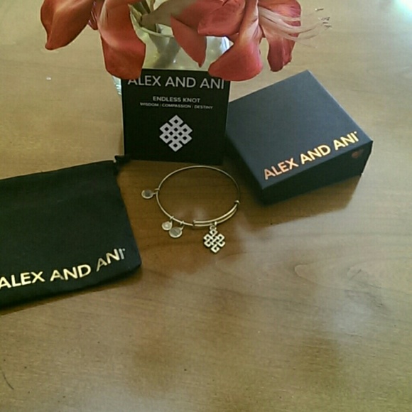 Alex And Ani Bracelet