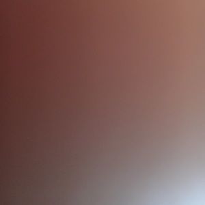 Meet your Posher, Billy