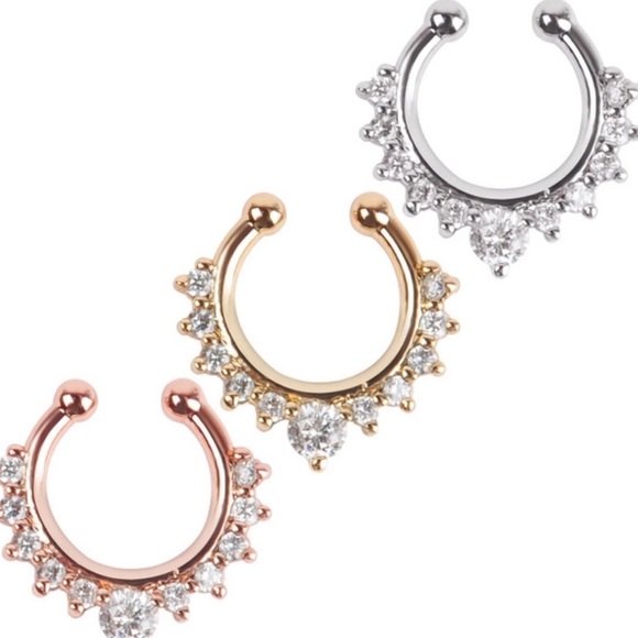 ✨Silver Faux Septum Rings - Picture 2 of 4