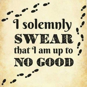 Meet your Posher, Roxanne