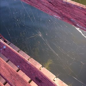 Meet your Posher, Hallie