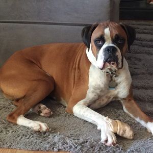 Meet your Posher, Paula