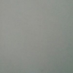 Meet your Posher, Carlesa