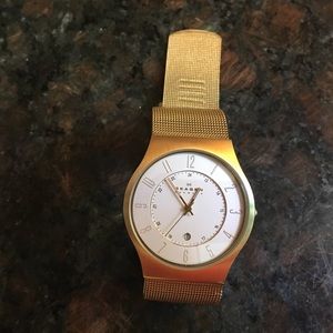 Skagen Watch