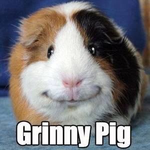 Meet your Posher, Cindy