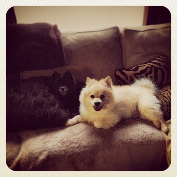 Welcome to my closet 💕✨ - Picture 4 of 4