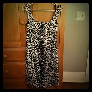 White House Black Market Leopard Print Dress