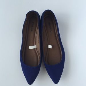 Pointed Toe Navy Flats