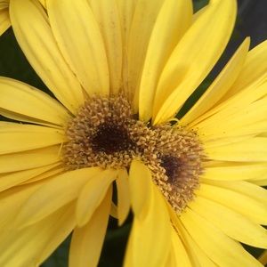 Meet your Posher, Terry