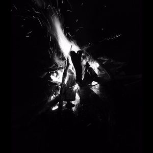 Meet your Posher, Gabe