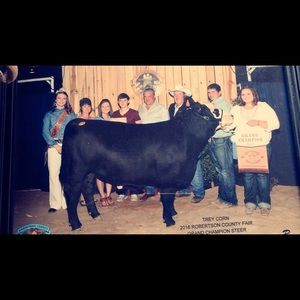 Meet your Posher, Susan