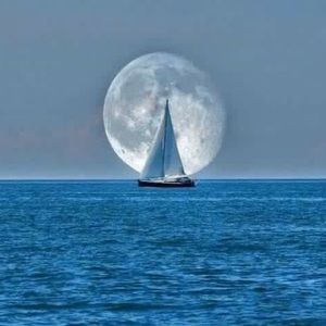 Meet your Posher, Michele