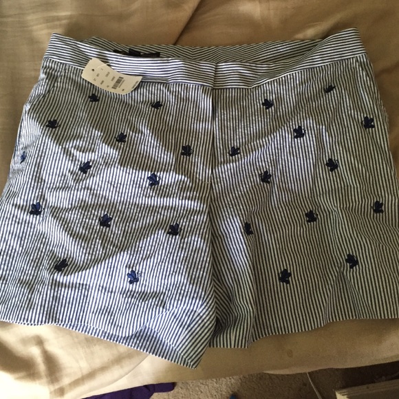 Summer shorts from brooks brothers