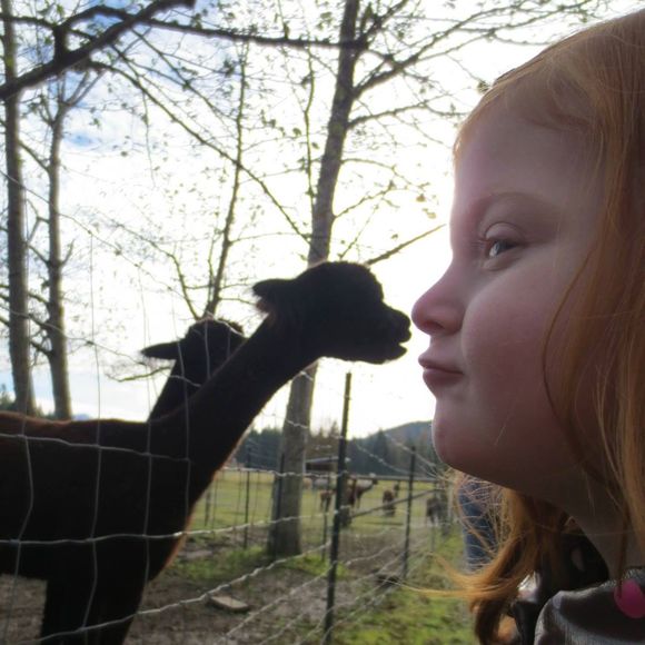 Meet your Posher, Krista - Picture 1 of 1