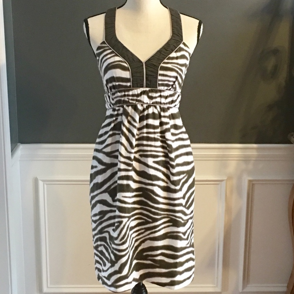 ❗️SOLD❗️Banana Republic Linen Zebra Print Dress