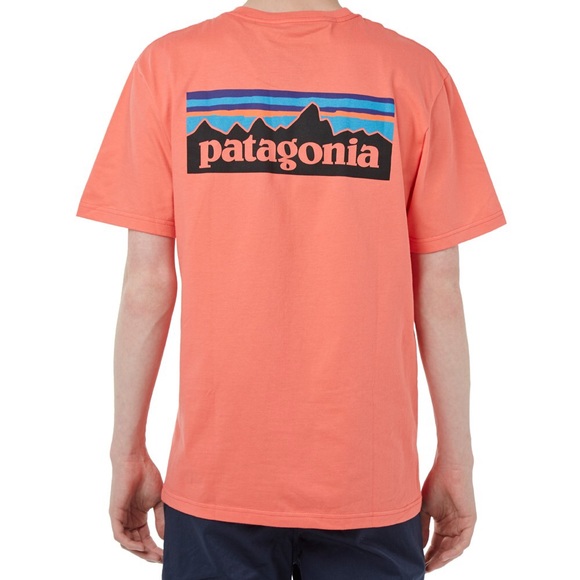Patagonia Tee