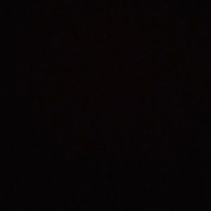 Meet your Posher, Riley