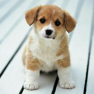 Meet your Posher, Colleen