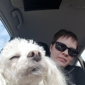 Meet your Posher, Losh